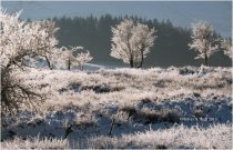 Very heavy frost Brecon Beacons